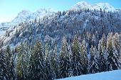 DA VALCANALE AL LAGO-PASSO BRANCHINO - 2 dicembre 2009 - FOTOGALLERY